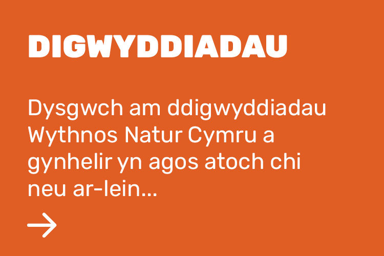 Digwyddiadau
